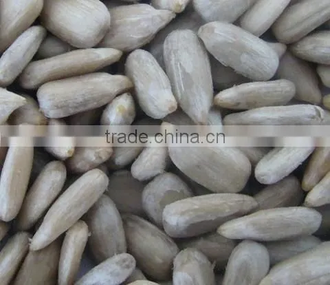 Sunflower Kernel Chips