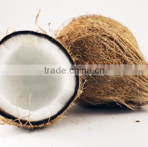 Fresh Brown Semi Husked Coconut photo-2
