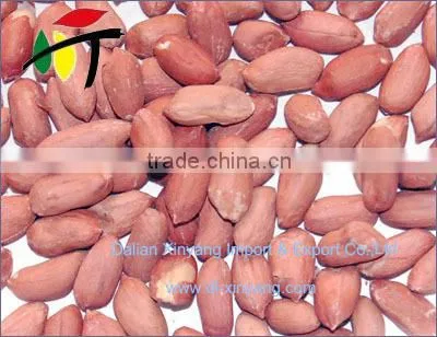 Wholesale crispy roasted peanuts in red skin