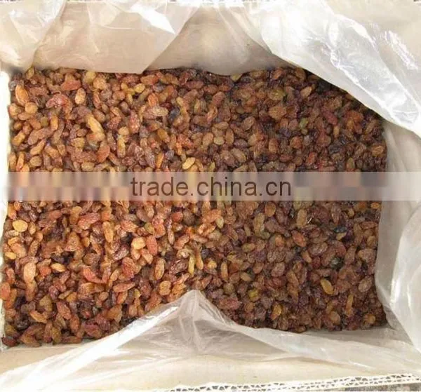 Dried Fruit Raisin Sultana