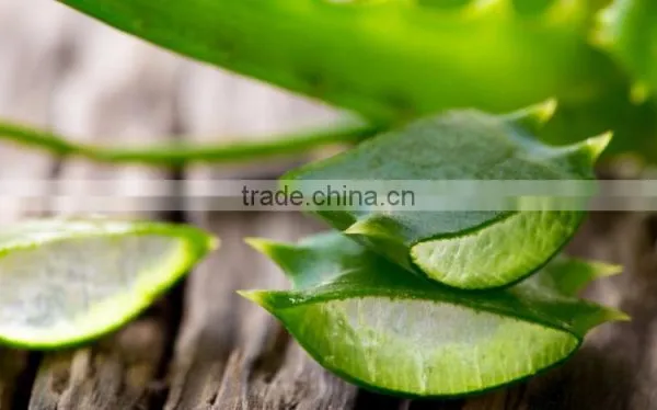Natural Plant Extract Aloe Vera photo-4