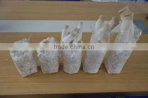 Oyster Mushroom Spawn/mushroom Logs photo-2