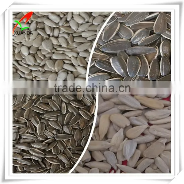 Hulled Sunflower Seed Kernels Bakery Grade photo-2