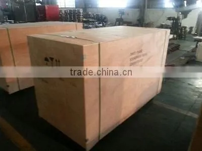 Diesel Generator 8kw/10kw/12kw for Center Pivot photo-6