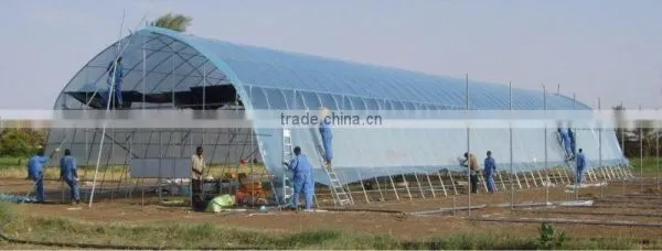 Tunnel Greenhouse photo-4
