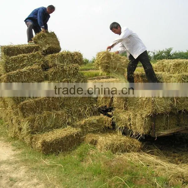 High Working Efficiency Tractor PTO Use Square Hay Baler Grass Square Baler Straw Square Baler With CE photo-6