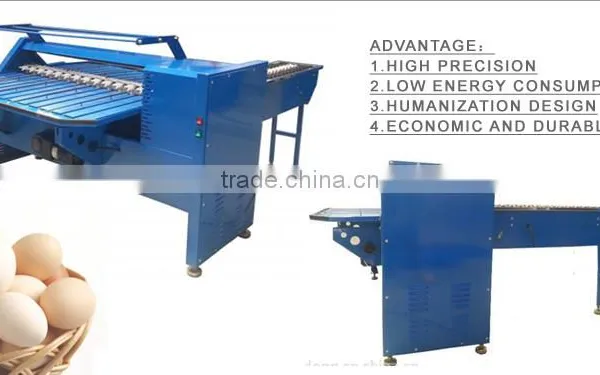 WYHS-J5 Egg Grading Machine for Sale photo-6