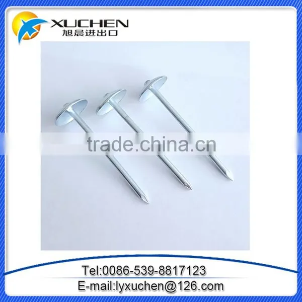 Electro Galvanized 2.5 Inch Screw Shank Twisted Roofing Nail photo-2