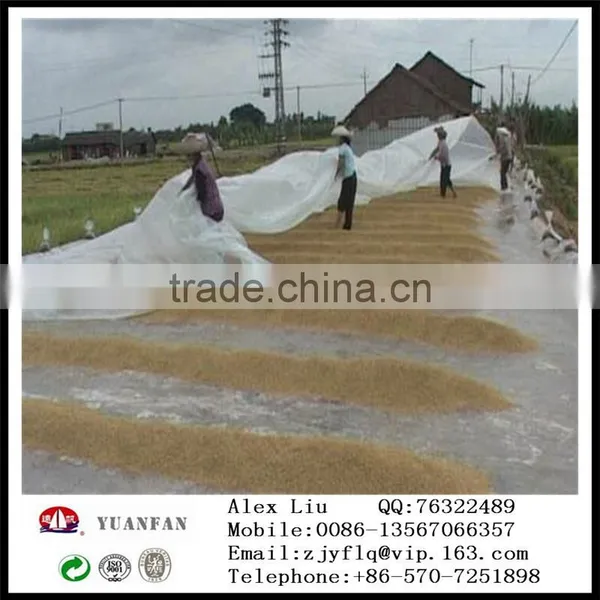 Welded PPSB Non Woven Fabric for Agriculture photo-4
