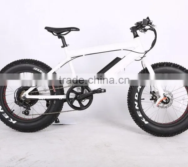 2017 New Design 20 Inch 36V 350W Non-foldable Electric Fat Bike photo-4