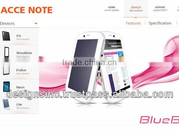 website development