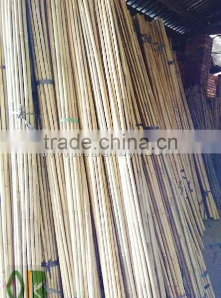 Natural Dry Bamboo Canes Poles Sticks for Gardening SUPPORTING photo-2