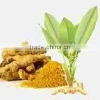 Curcuma Longa Extract photo-2