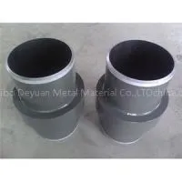 Isolation Flange