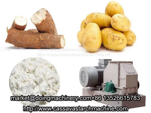 Potato Starch Making Process and Potato Starch Processing Machine photo-3