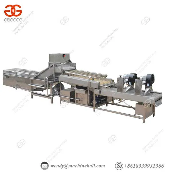 With Brush Roll Vegetable Washing Machine Automatic Sprinkling