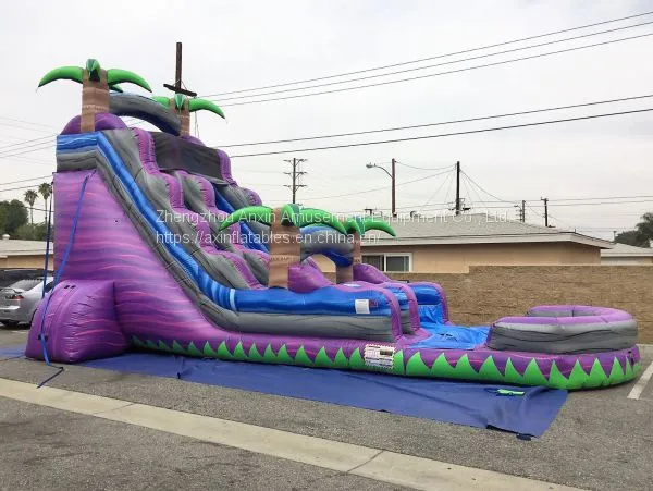 Inflatable Slip and Slide Inflatable Water Slide Axs-16 photo-4