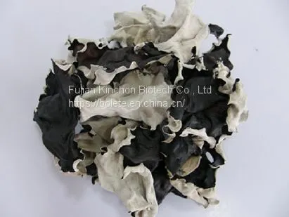 Dried Wood Ear Mushroom Whole