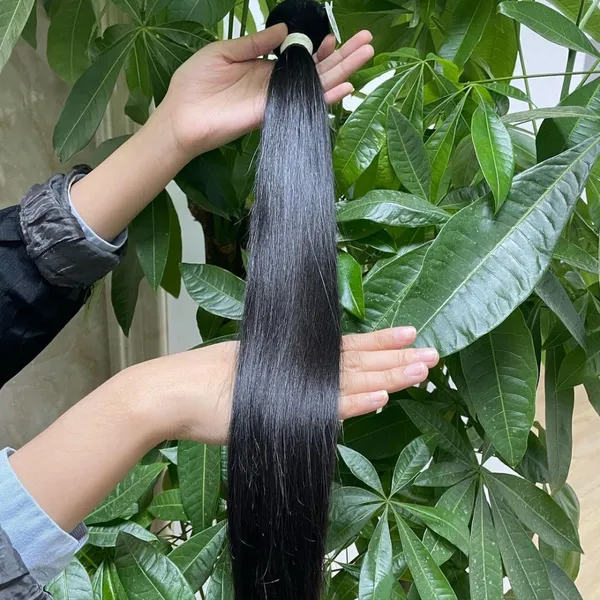 KHH Best Quality Wholesale Price Raw Unprocessed Virgin Indian Hair From India photo-4