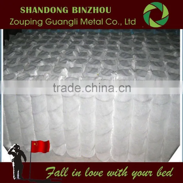 China Health Pocket Spring Bed Company With Micro Pocket Spring for Xxxn Mattress photo-6