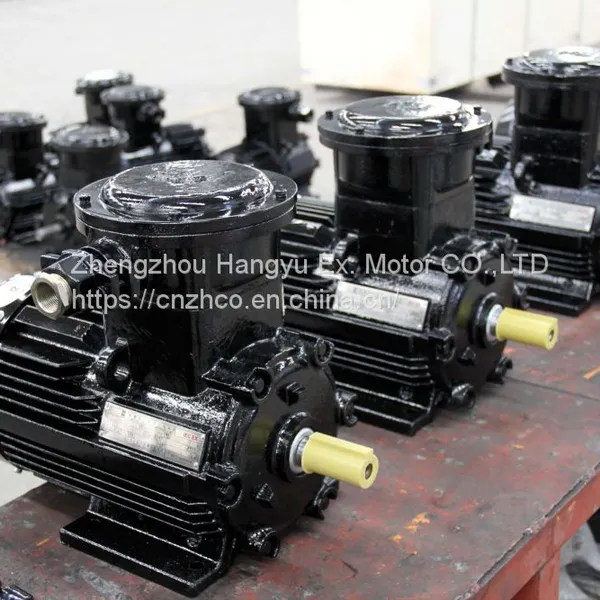 GB18613-2020 IE4 Series Explosion-proof Three-phase Asynchronous Motor YB ,YB2，YBX4， 112M-2， 4KW Flameproof Motor photo-3