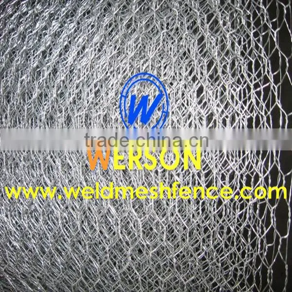Stainless Steel Hexagonal Wire Netting photo-6