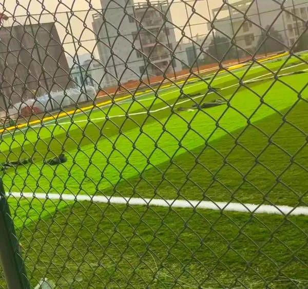 Wholesale of Liuzhou Ribbed Horizontal Bars, Uneven Bars and Double-frame Bars for Outdoor Fitness Paths