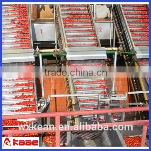 fresh fruit processing line, fruit drinks production line