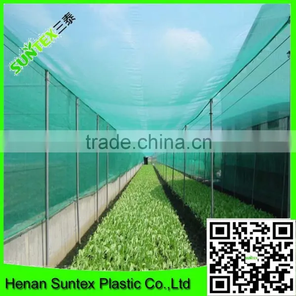 Hot Sale Green Anti Hail Net, Agricultural Shade Net, Garden Anti Insect Net photo-2