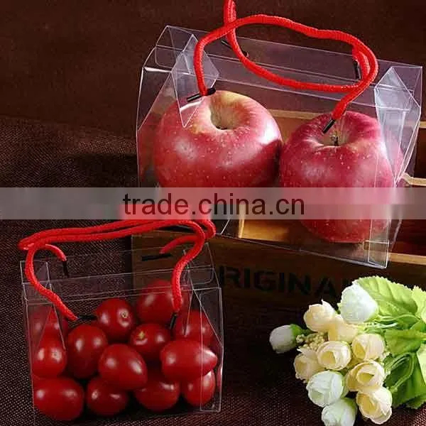 Small Clear Plastic Box photo-2