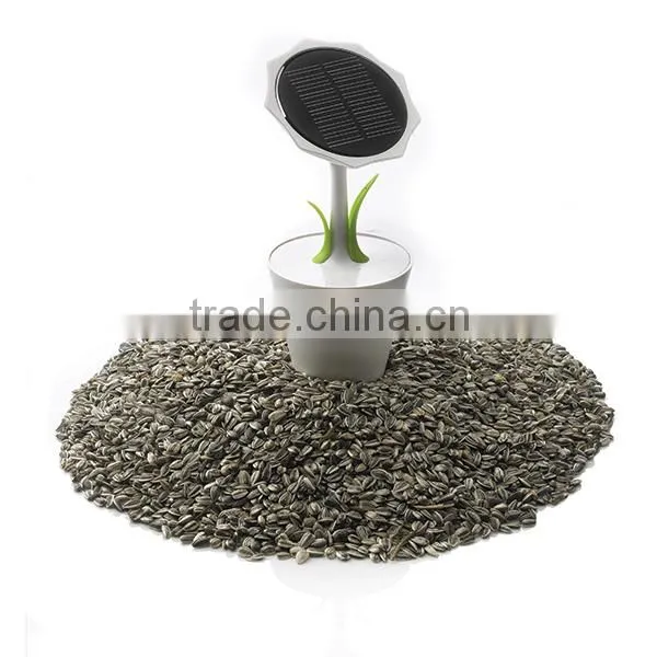 Solar Sunflower|Solar Charger & Battery Charger|solar Power Bank|green Gift |XD Design