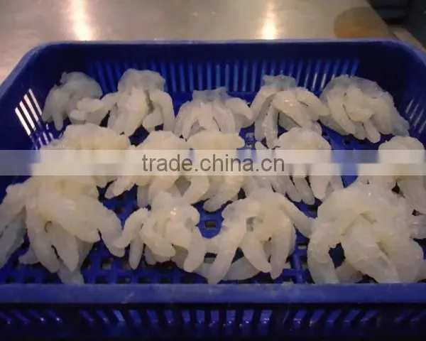 SALTED JELLY FISH photo-3