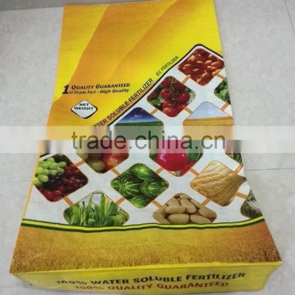 Product Packaging Design BOPP Printing Laminated Polypropylene Woven Bags for Sale photo-3