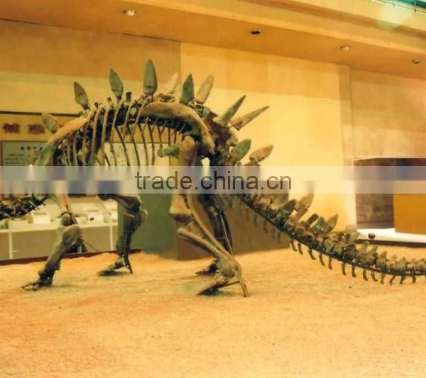 2014 Newest Best Quality Dinosaur Skeleton