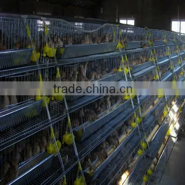 Galvanized Wire Mesh Layer Quail Cage Wholesale photo-2
