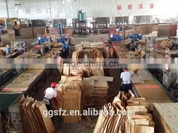 Construction Temporary Building Materials Plywood Production Line