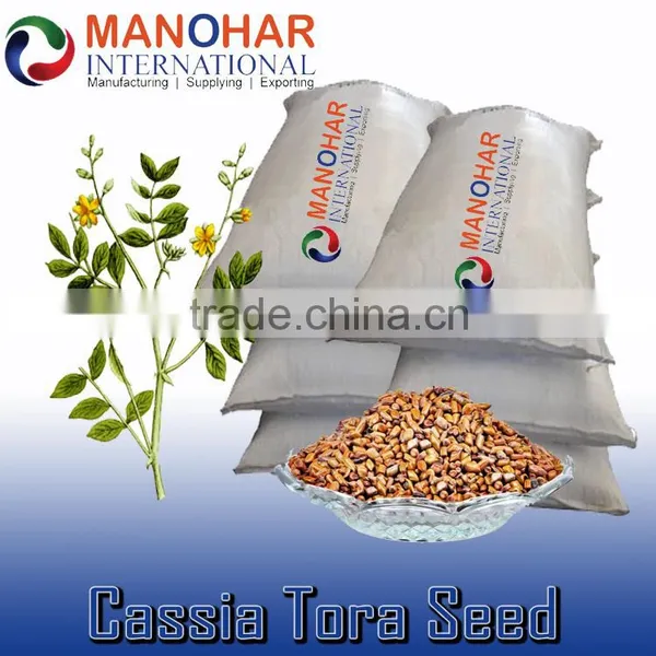 Best Jue Ming Zi in Chinese Cassia Tora Seed, Cassia Tora Seeds photo-2