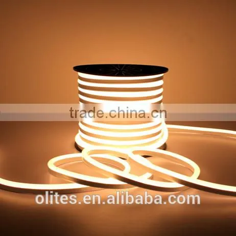 LED Outdoor Lighting 24V 60pcs/m LED Landscape Lamp LED Neon Flex