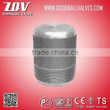 Plug(Hex Head Plug,Square Head Plug,Round Head Plug)/ NPT A105 Forged Fittings 3000# 1/8"-4" photo-2