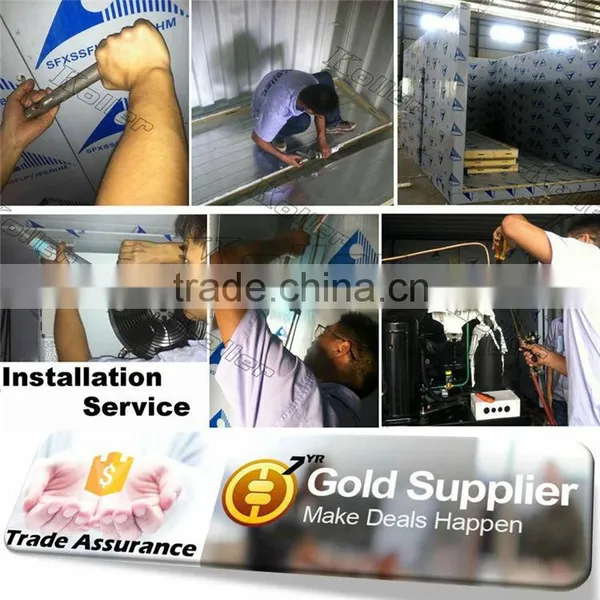 Koller Cold Room Fixed Inside 20 GP 40 GP/HQ Container photo-4
