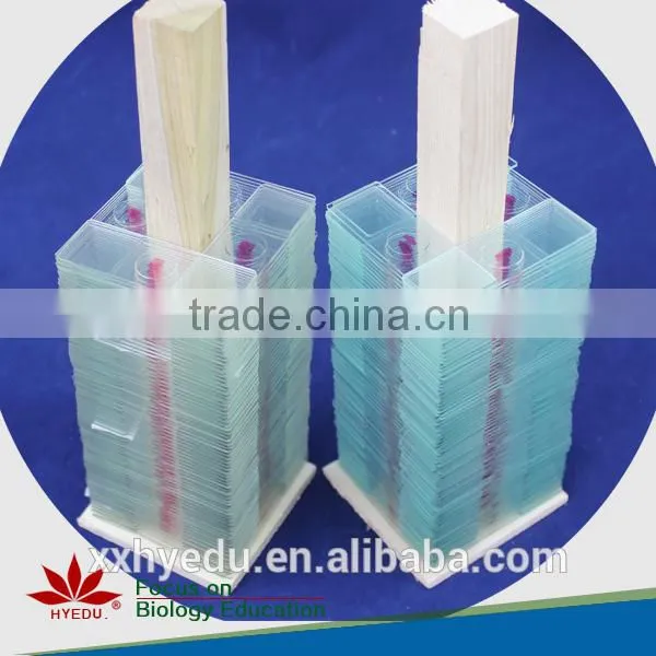 Agronomy Microscope Prepared Slides , Economy Crop Prepared Slide,stem Prepared Slides You Can Choose From photo-6