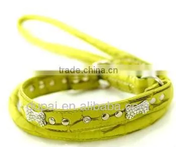 Personality Collar for Dog
