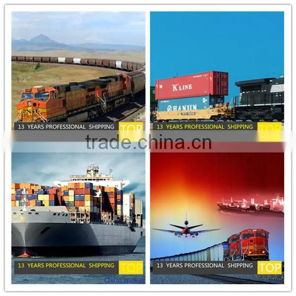 Shipping Container to TORONTO FCL Shipping Warehousing Services photo-3