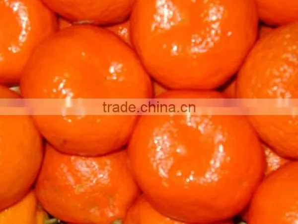 Fresh Mandarin photo-2