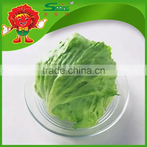 Iceberg Lettuce for Export Led Grow Lights for Lettuce photo-3