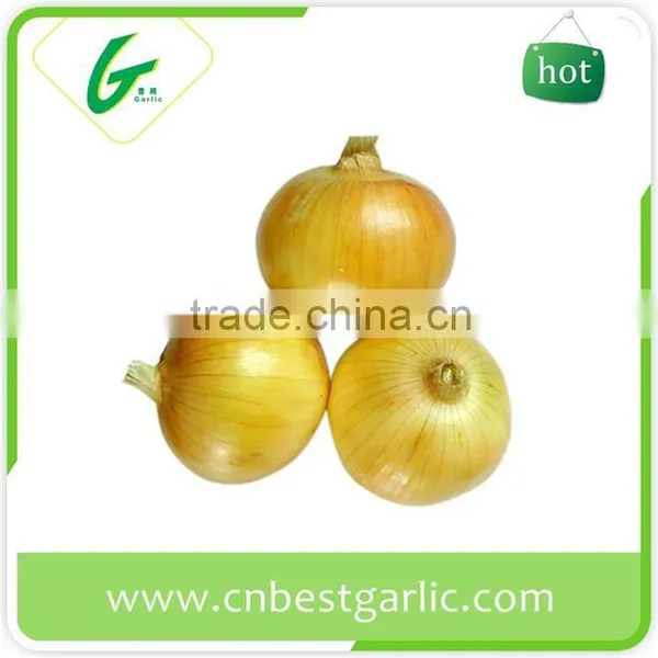Importers of Dehydrated Fresh Onion photo-5