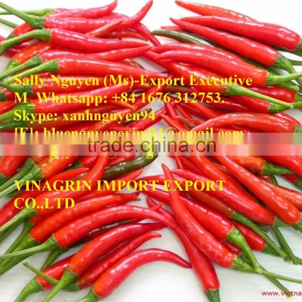 VIETNAM FRESH CHILLI