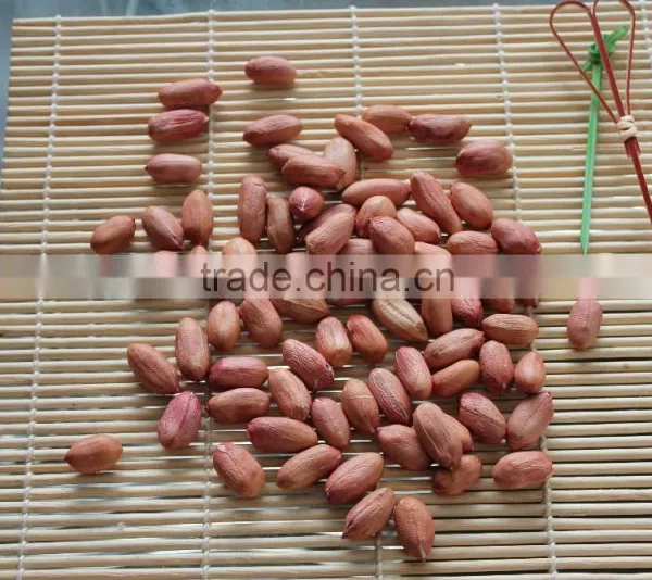 New Crops Red Skin Peanut Kernel photo-5