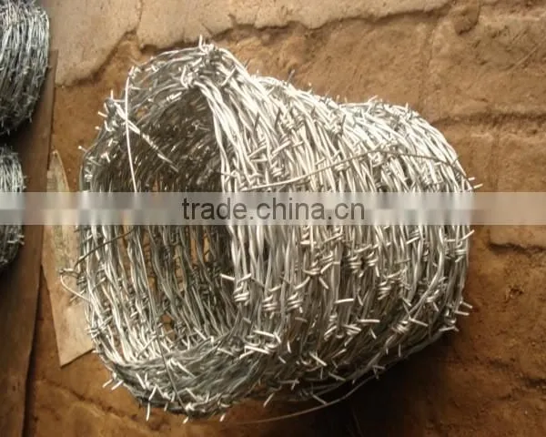 l Galvanzied Barbed Wire BWG 12#x14# 14#x16# 1.6 mm 2.1mm 2.5mm Electric / Hot Dipped Barb Wire Direct Professional Manufacture photo-4