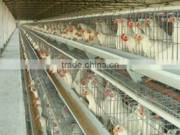 Poultry Cages